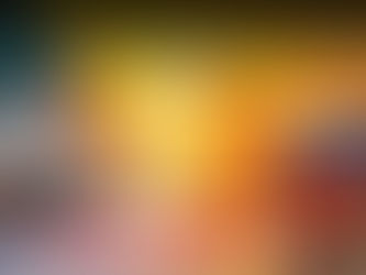 Find The Search Export data online