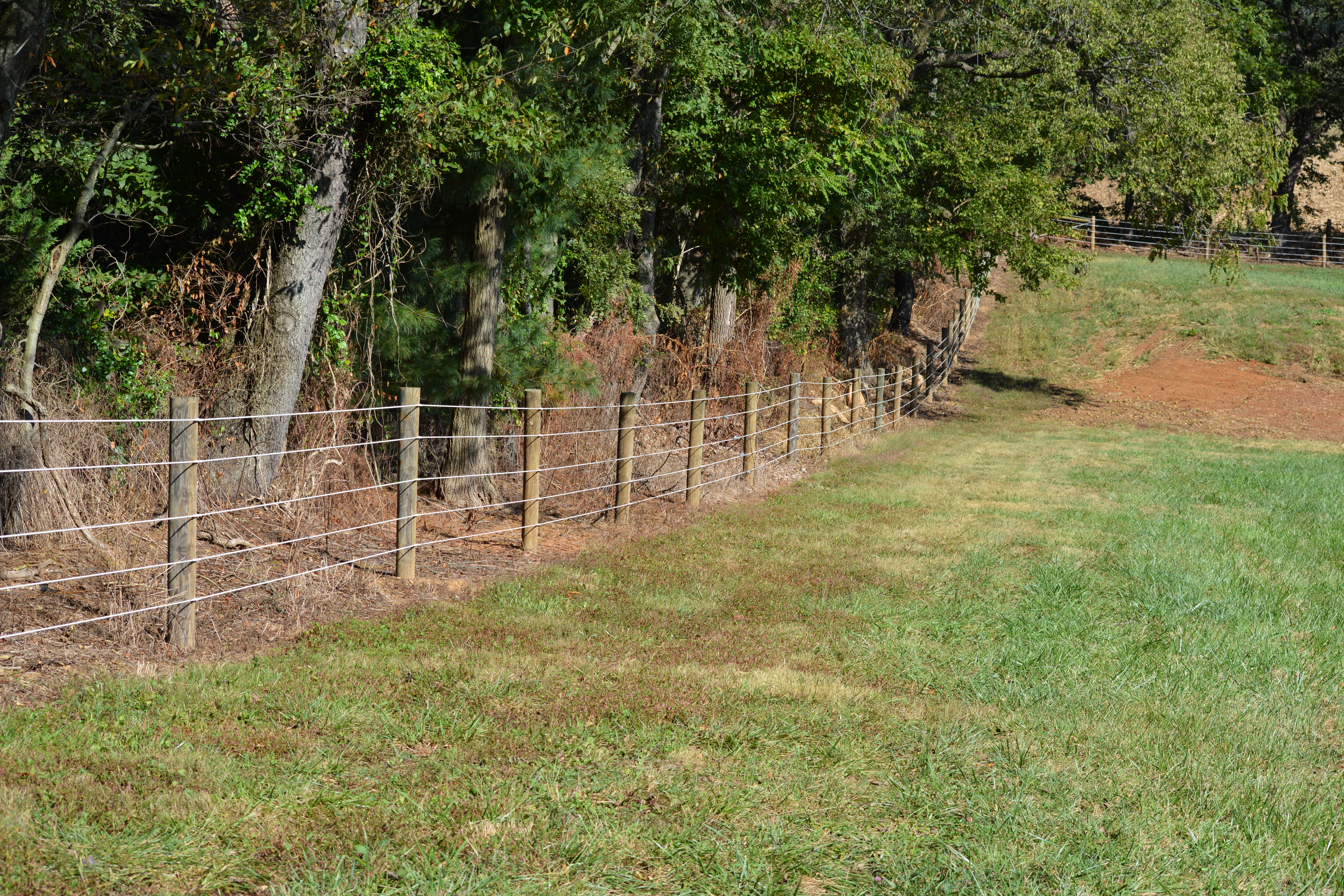 North pasture fence