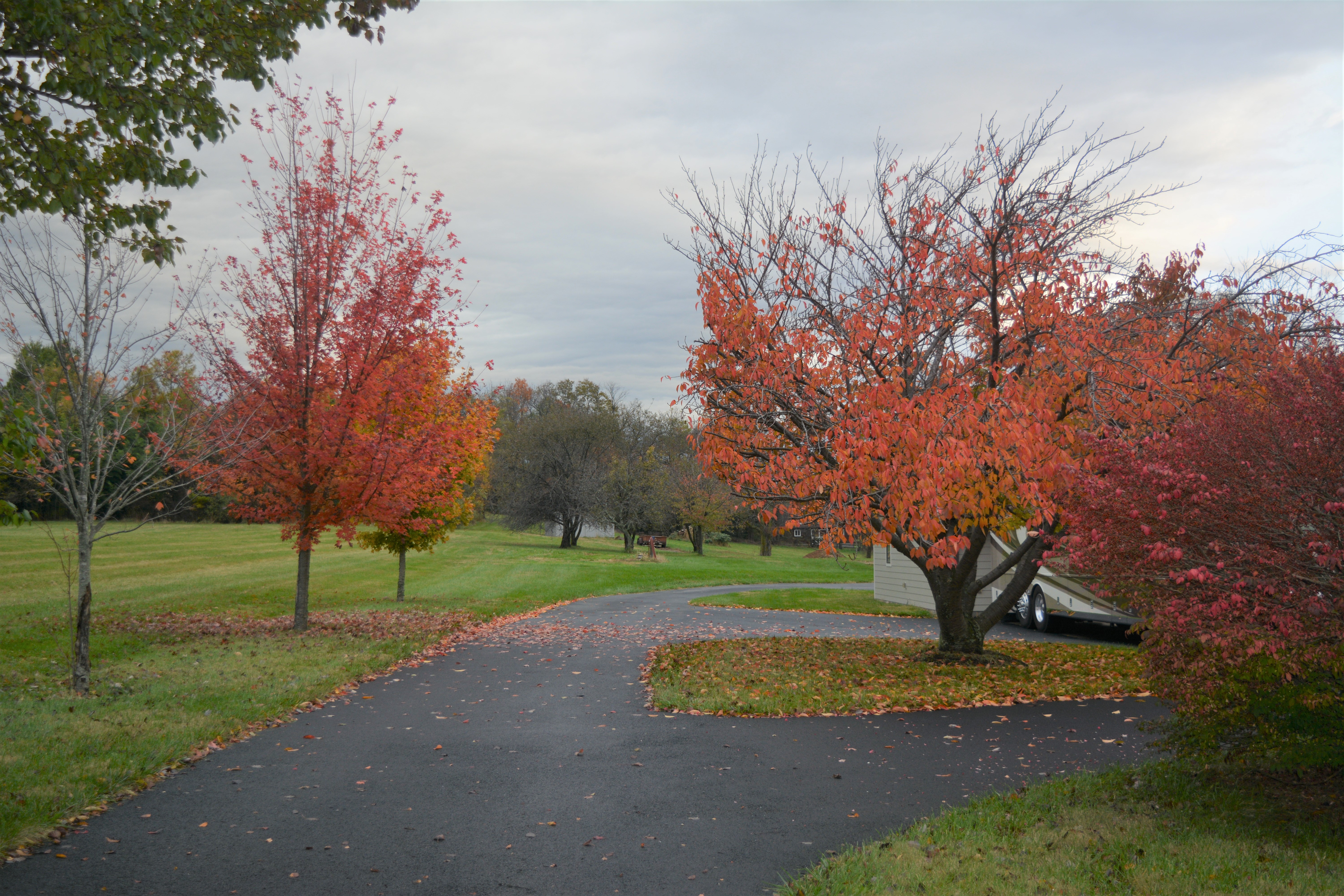 North view from entrance.