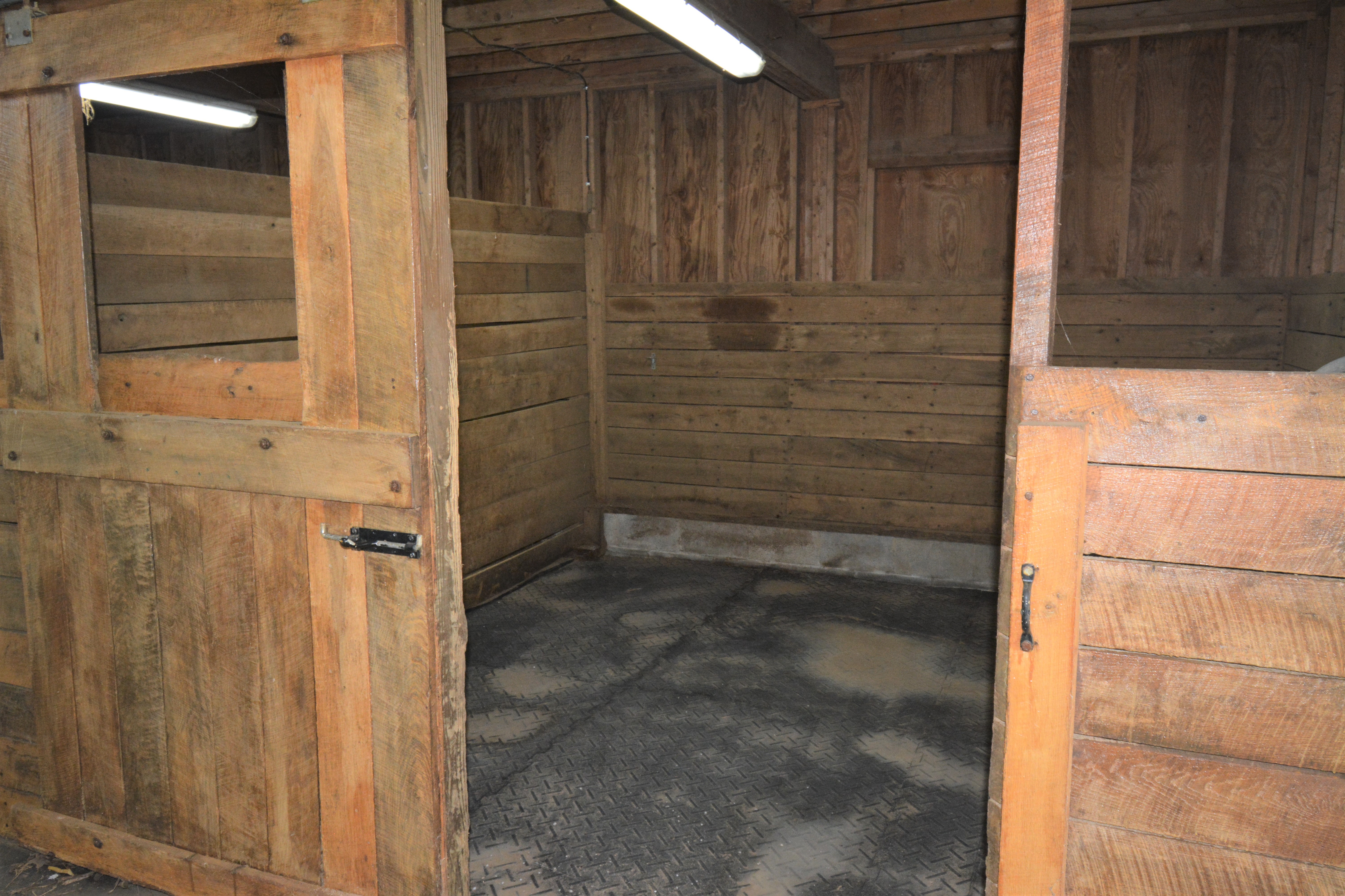 One of five stalls.