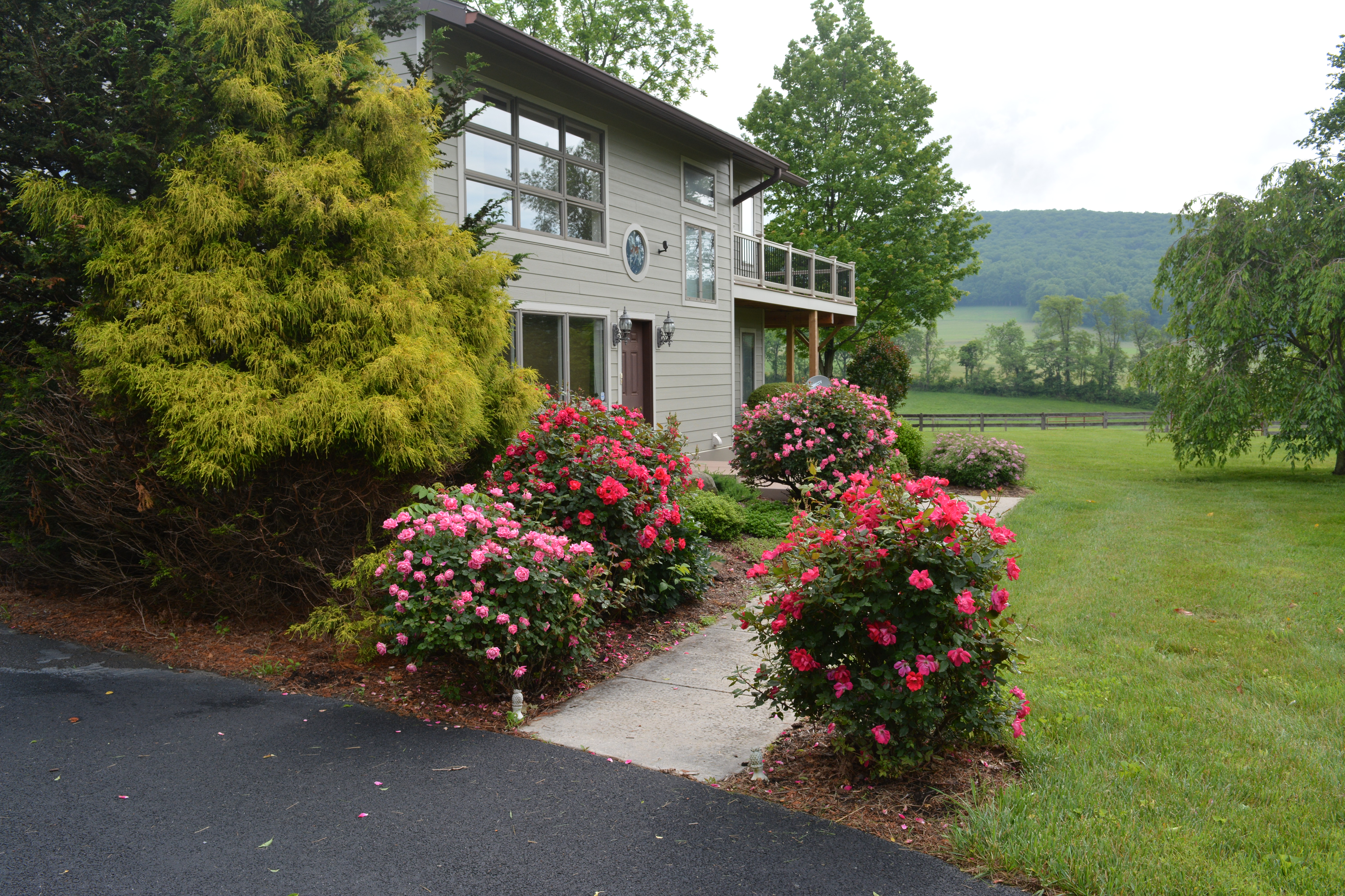 South facing front entrance.