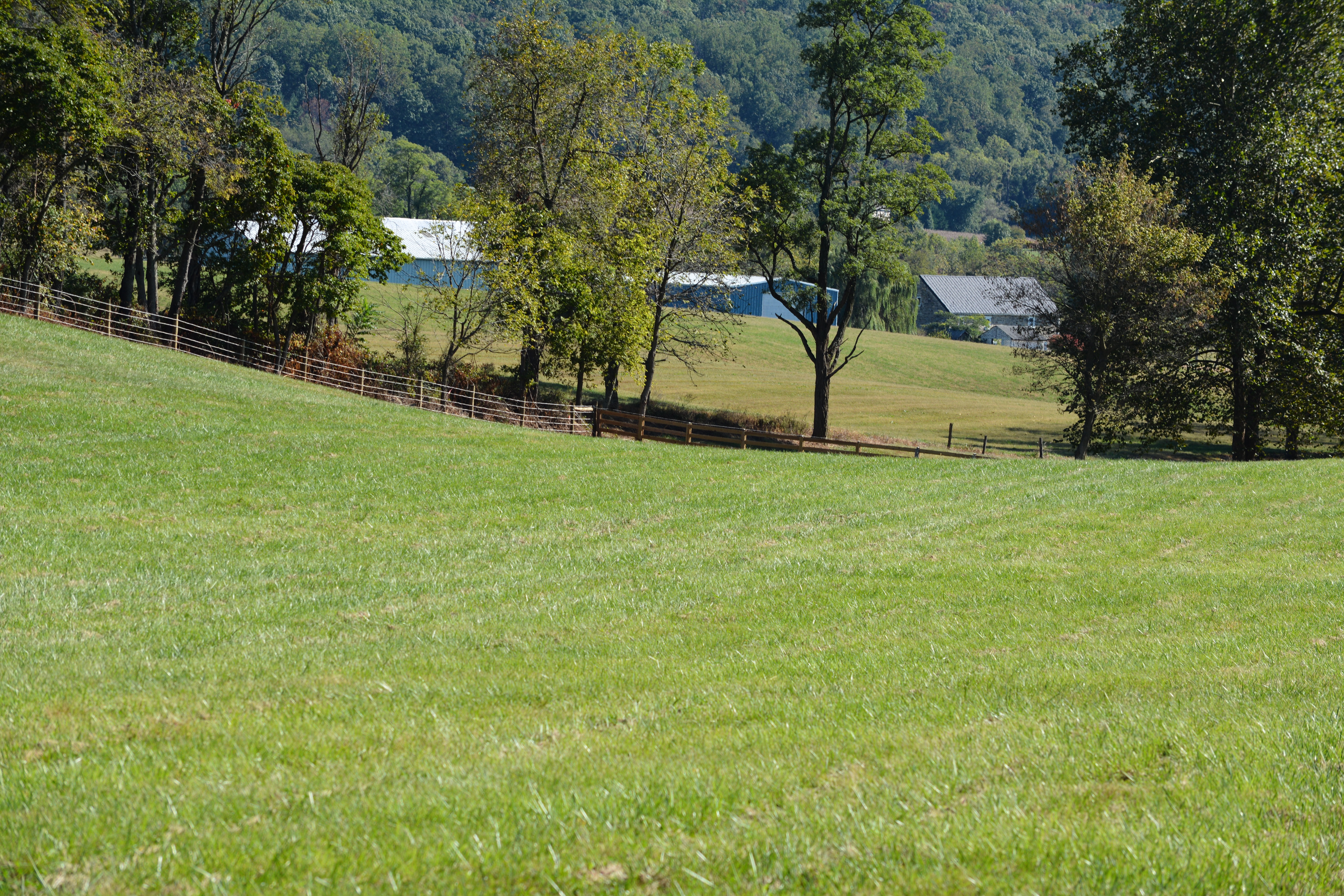 Southeastern corner of pasture