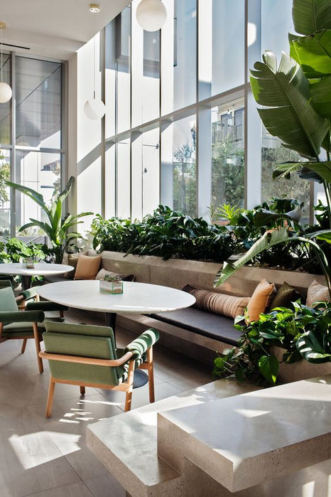 Biophilic Design: Rivoluziona il Tuo Spazio con la Natura