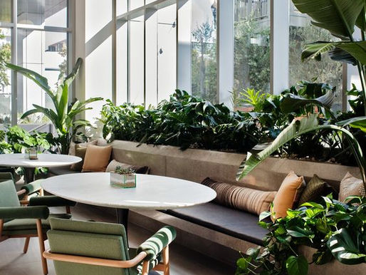 Biophilic Design: Rivoluziona il Tuo Spazio con la Natura