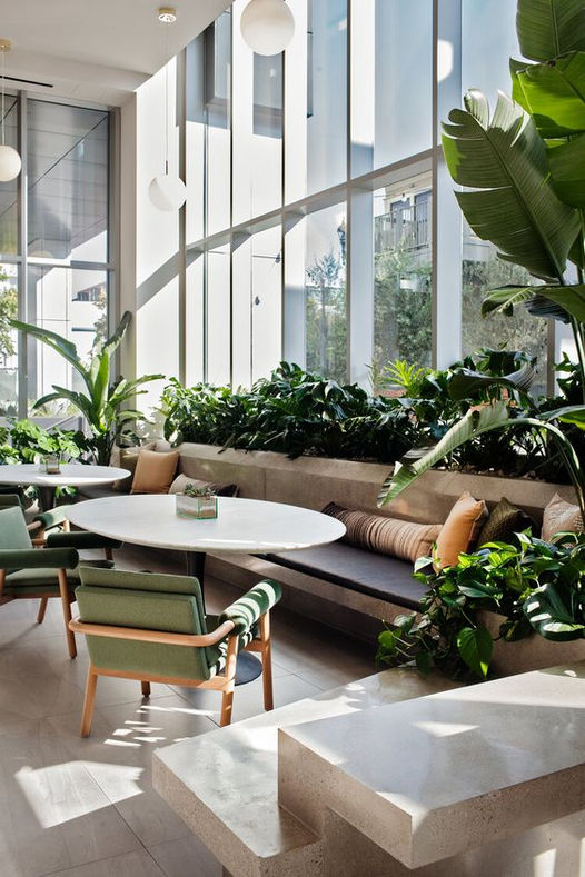 Biophilic Design: Rivoluziona il Tuo Spazio con la Natura