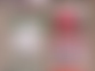 Gift Idea: Architectural Memories!