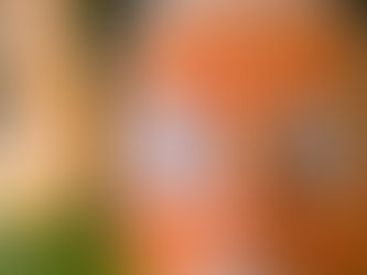 Mascarilla exfoliante de papaya, miel y avena