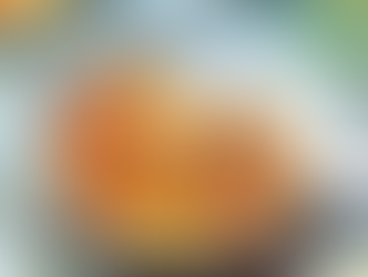 Bouillabaisse de calamars