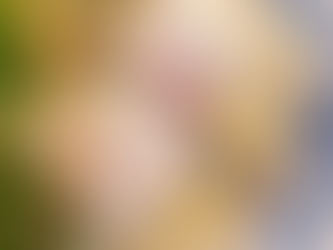 Pain de poisson facile