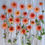 Thumbnail: Dahlia Totally Tangerine