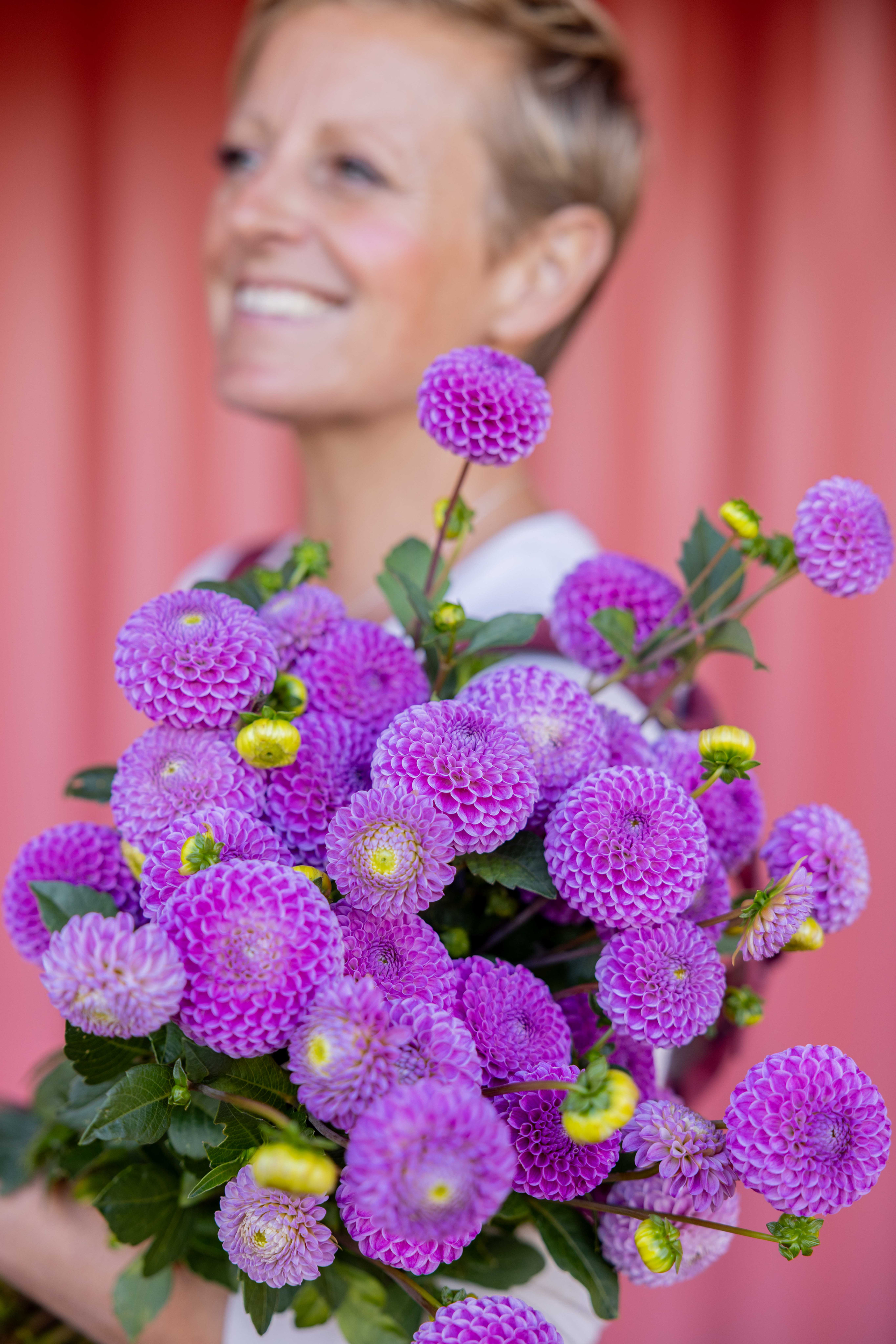 Dahlia Frank Holmes