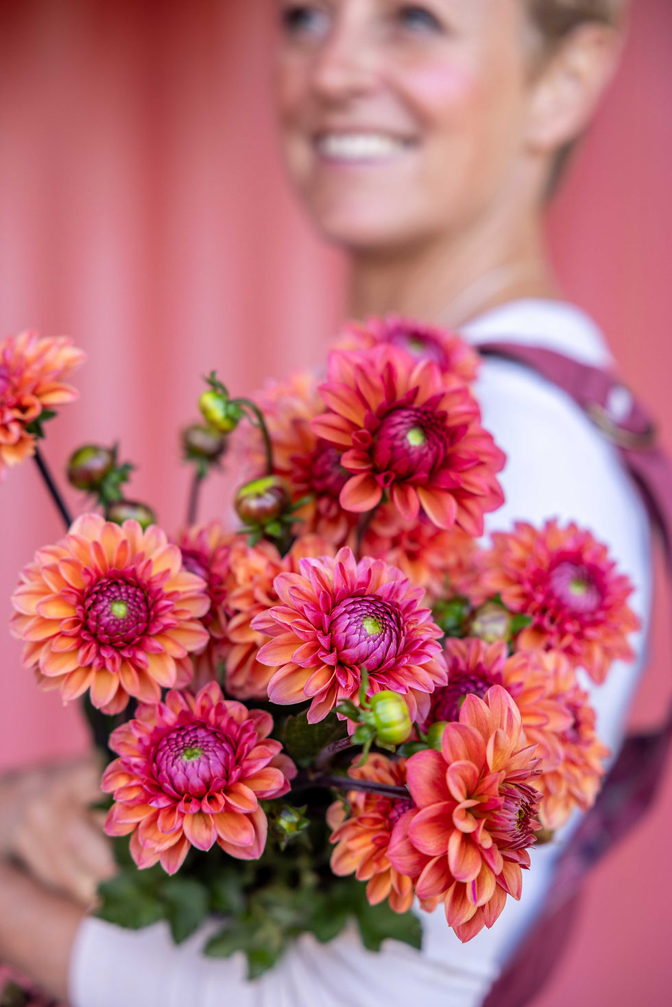 Thumbnail: Dahlia Daisy Duke