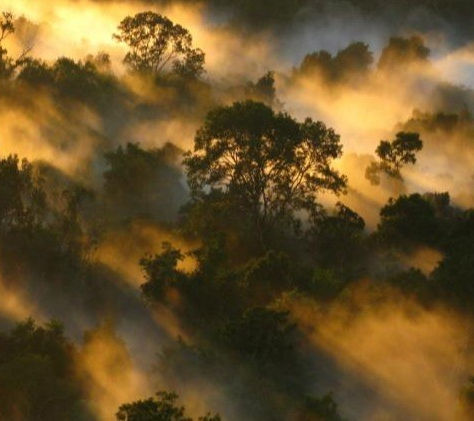 Africa May No Longer the Carbon Sink of the World