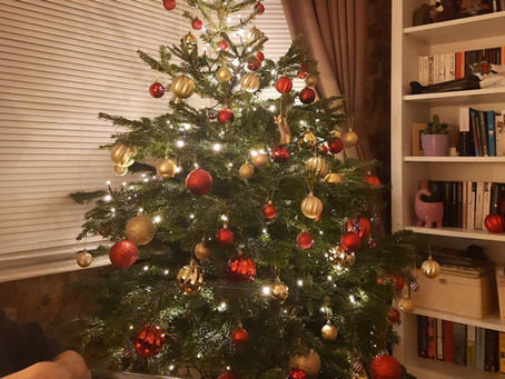 Putting Up the Tree Without a Drink in Hand