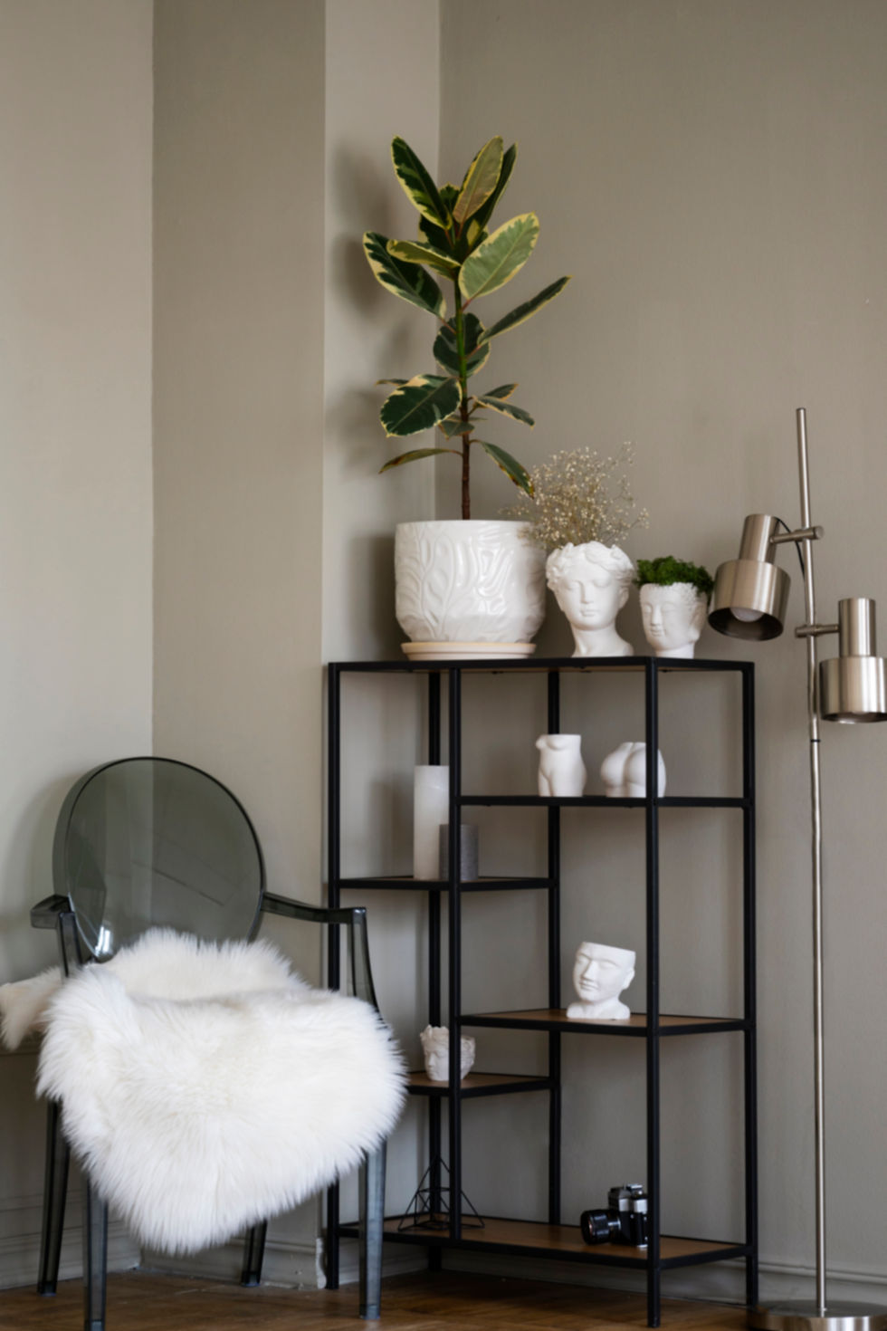 view-potted-plant-room-metal-shelf (2).jpg
