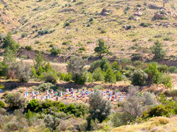 Environs de Volissos