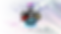 AnuncioWebwinter.png