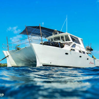 MENTAWAI SURF CHARTER ODYSSEY 