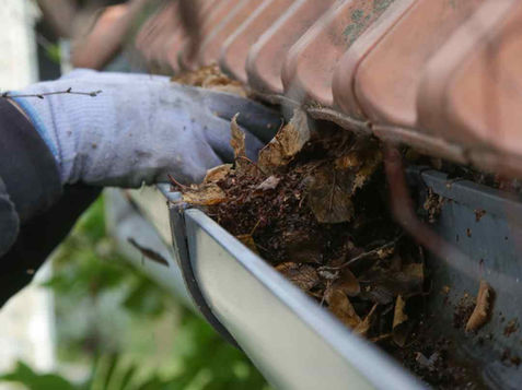 Gutter Cleaning