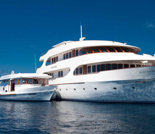 Maldives Surf Charter 