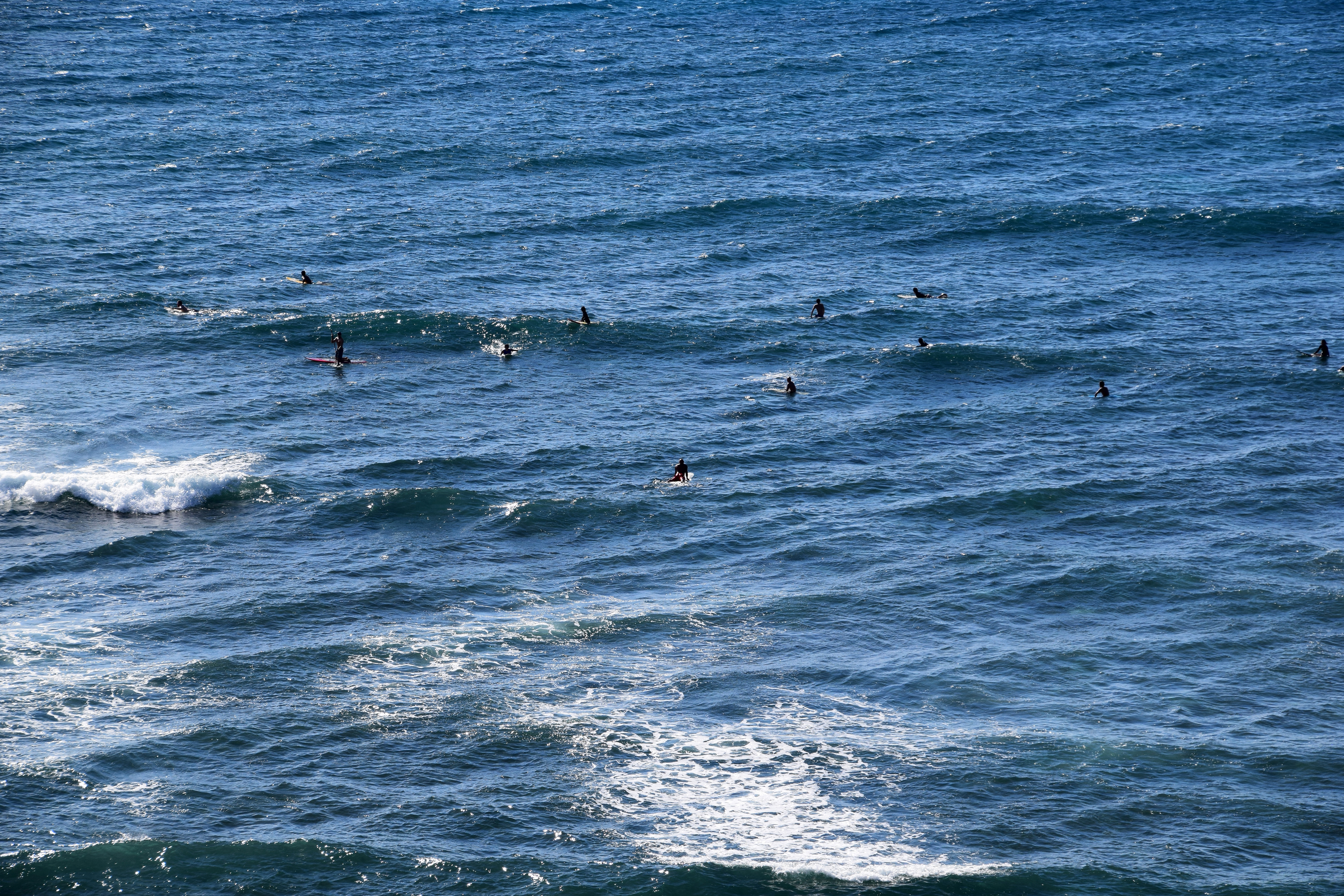 DSC_0277.jpg
