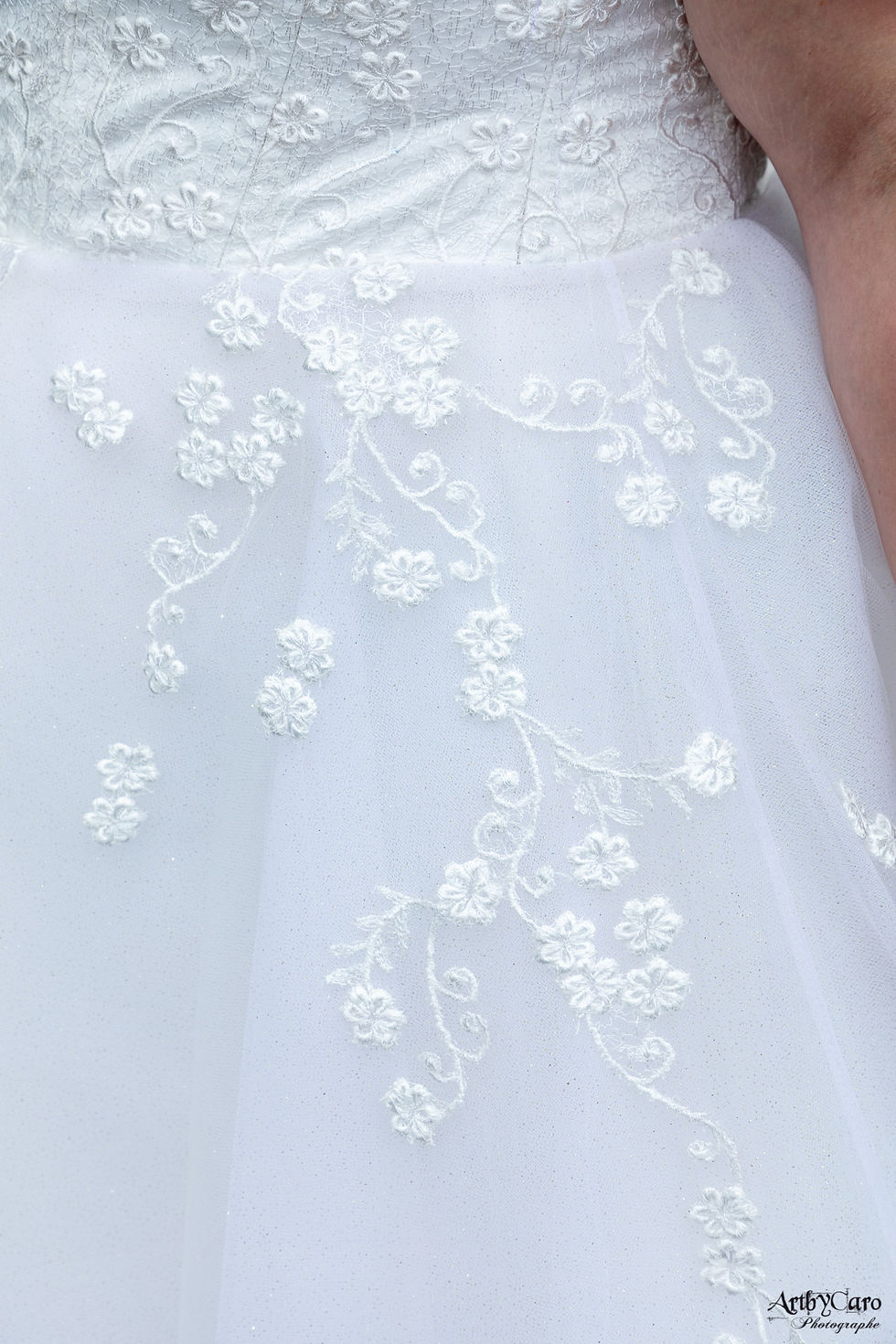 Miniature : PRINCESSE L