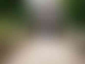 Timeless portrait of a newly married couple at Clonabreany House.