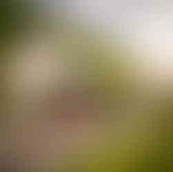 Photography showing the entrance and street view of Lawlors Hotel in Kildare