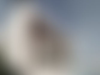 20 JAHRE JUBILÄUMS TRANCHEN 