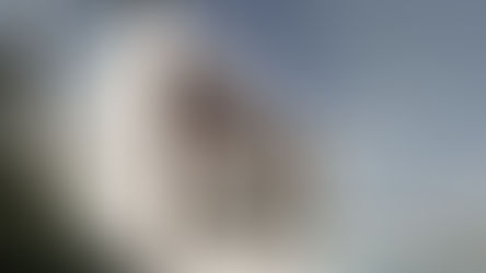 20 JAHRE JUBILÄUMS TRANCHENÂ