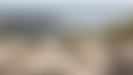 ZIELRENDITE 6 - 14% P.A. - 2 Jahre Laufzeit - "OHNE RISIKO" (?)