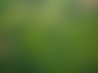 Top Tips for Buying Land in Sussex County