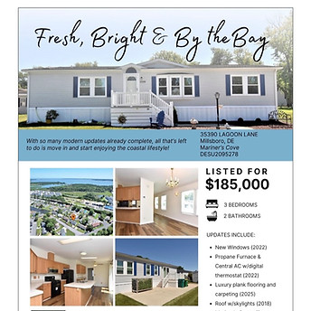 35390 lagoon lane paper flyer.jpg