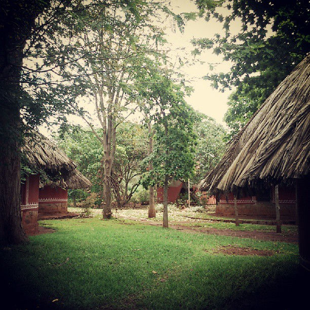 #nrityagram #dancevillage #dance #odissi #gerarddcunha #space