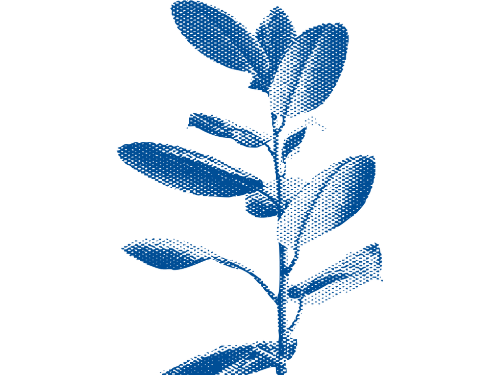 GRAPHICS_PollinateTogether_FOLHAS.png