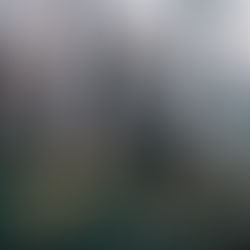 Blurred silhouette of a person walking through a sunlit forest of bare trees and autumn leaves, with a dreamy motion effect