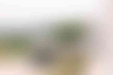 casarse-en-masia-cabellut