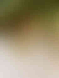 como-elegir-la-decoración-de-tu-boda