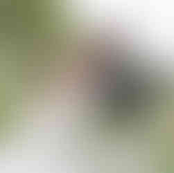 destination-weddings-barcelona