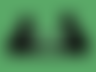 ሌላ ምስ ሓዳስ መጽሓፍ ሰመረ ሰሎሞን፡ ጌጋታት በዚ ሓድሽ ወለዶ ከይድገሙ፣ ዕላል ምስ ሓደ ትኵር መንእሰይ ኤርትራዊ