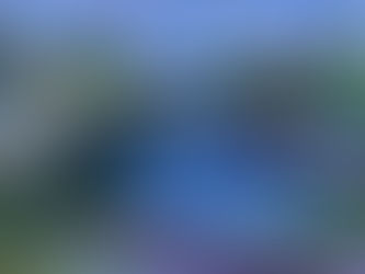 "午後の光り ”"Afternoon light"