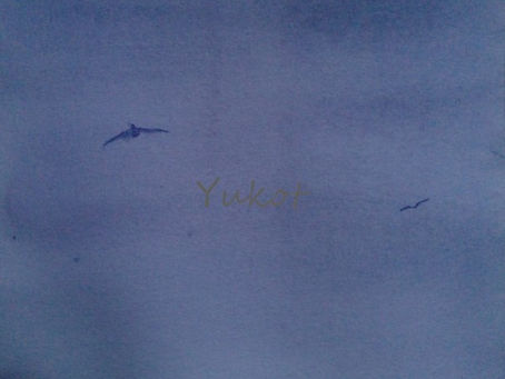 ”自然の音楽” "Music of Nature"