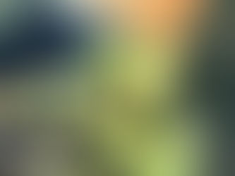 "自然の流れ" "Stream of Nature"