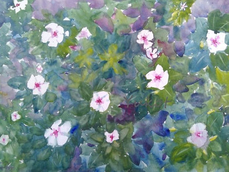 "日日草の囁き”" Whisper of Vinca"