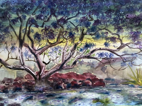 ”ジャカランダ” "Jacaranda"