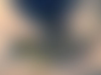 "しぜん美” "Wild beauty"