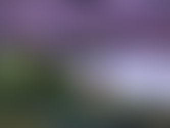 ”クリスマスの日""Christmas Day"