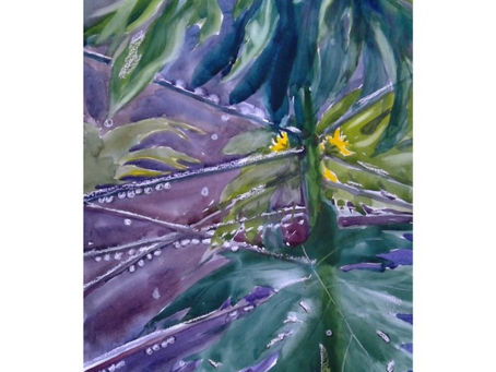 ”雨しづく” " Raindrops"