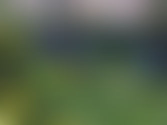 "2023年の秋" ”Autumn in 2023"