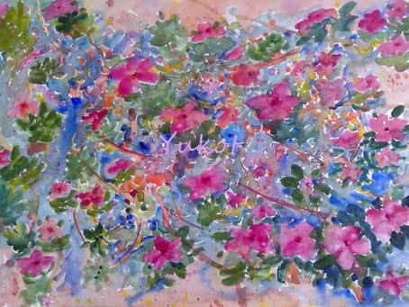 ”日日草の花” "Vinca"